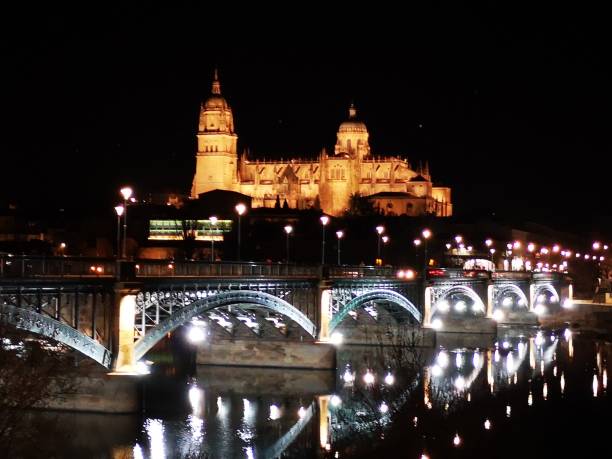 istock Cathedral and bridge of Salamanca 1131740724