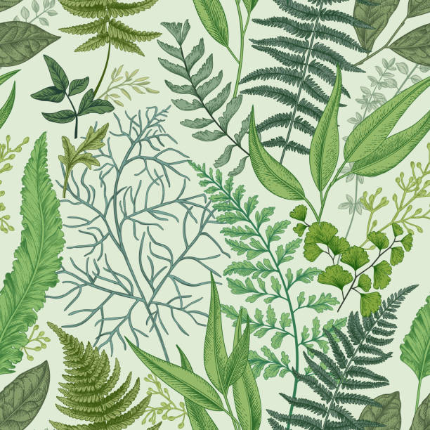 Seamless pattern with  leaves. Seamless pattern with different ferns and leaves. Vintage floral background. Botanical illustration. 1354 stock illustrations