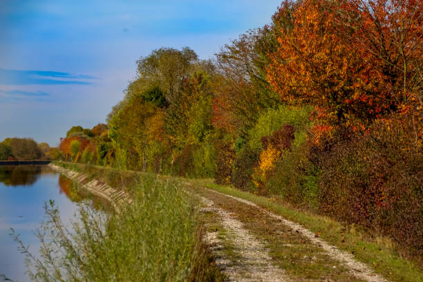 istock autumn leaf isar canal munich bavaria 1131742039