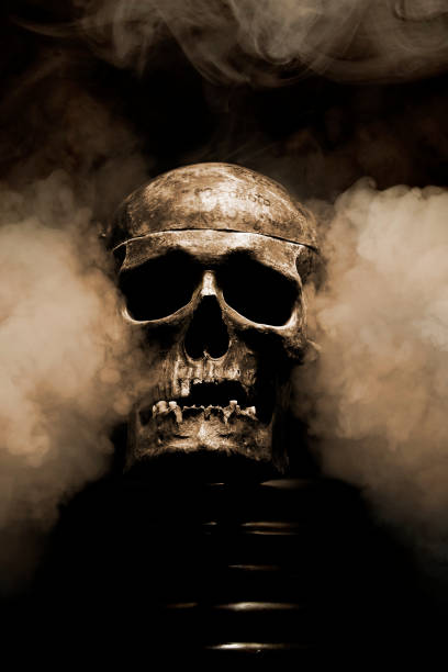istock Close up of skull on black background. 1131745211