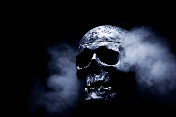 istock Close up of skull on black background. 1131745251