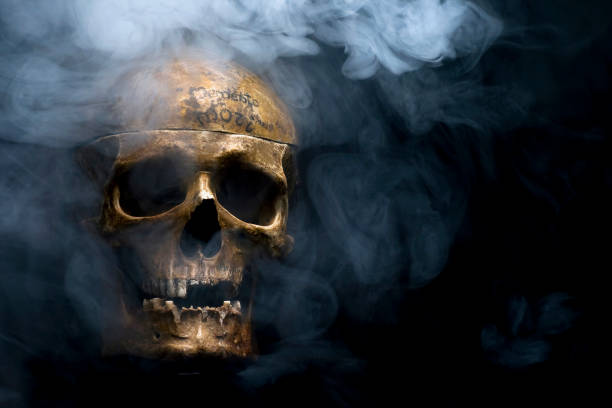 istock Close up of skull on black background. 1131745255
