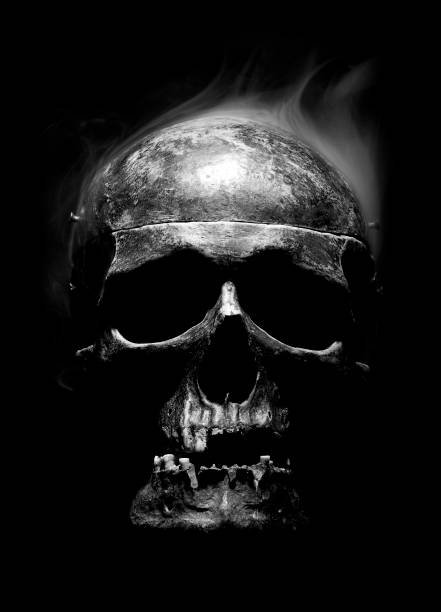 istock Close up of skull on black background. 1131745268