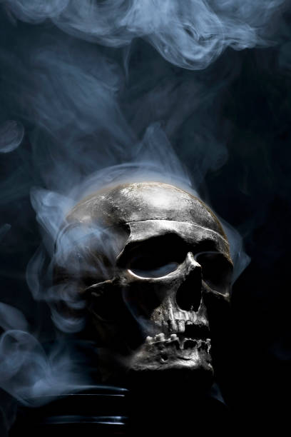 istock Close up of skull on black background. 1131745275