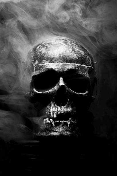 istock Close up of skull on black background. 1131745294