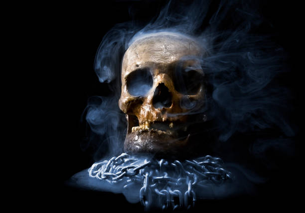 istock Close up of skull on black background. 1131745315