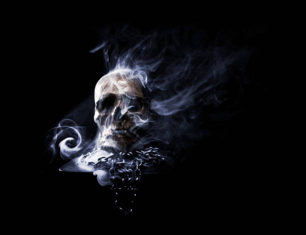 Close up of skull on black background in smoke. Real human skull.