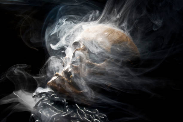 istock Close up of skull on black background. 1131745426