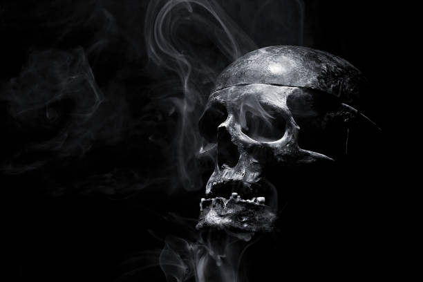 istock Close up of skull on black background. 1131745475