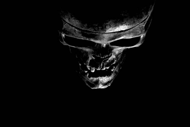 istock Close up of skull on black background. 1131746076