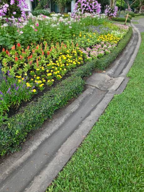 istock Outdoor walkway decorated with cement tiles 1131746345