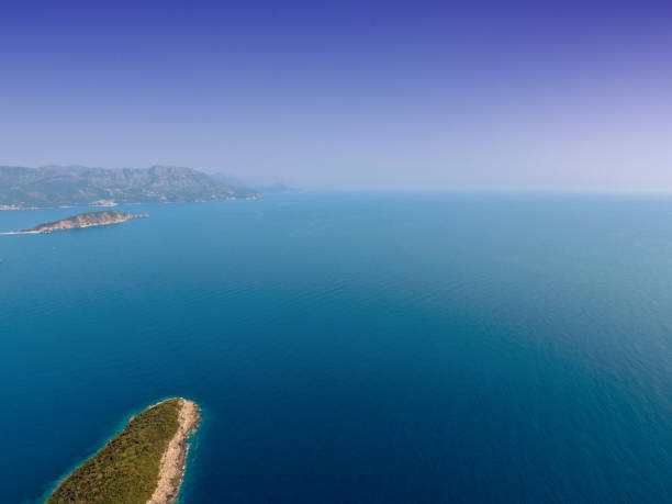 istock Aerial view on sea and green forest 1131748189