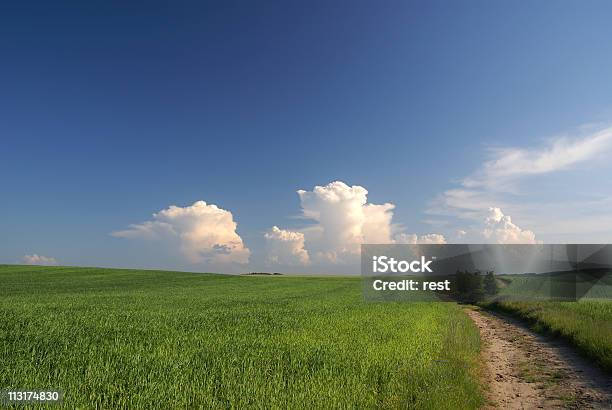 Wiejski Krajobraz - zdjęcia stockowe i więcej obrazów Bez ludzi - Bez ludzi, Chmura, Droga