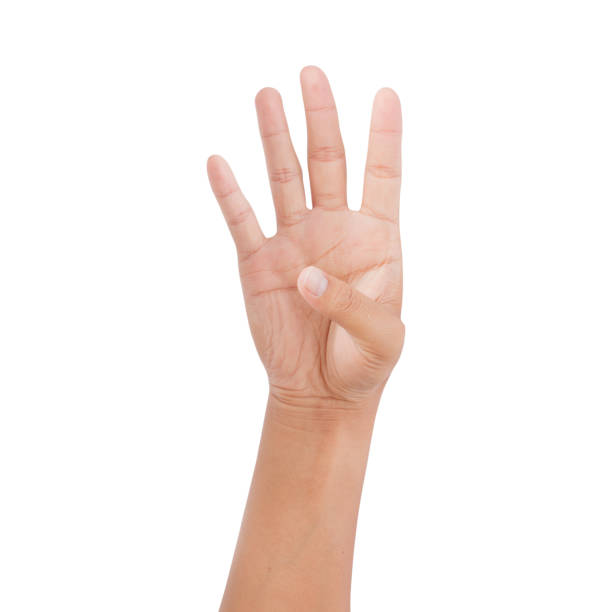 istock Hand showing number four isolated on white background - clipping paths 1131749584