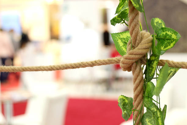 Frame and frame of brown rope and green leaves