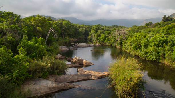 南アフリカ北部 blyde 川の自然 - limpopo province ストックフォトと画像