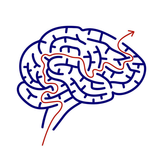 脳の形状迷路迷路、入り口に1つの方法で迷路と終了する1つの方法。フラットなデザイン、ベクターイラスト。 - conflict one way sign road sign点のイラスト素材／クリップアート素材／マンガ素材／アイコン素材