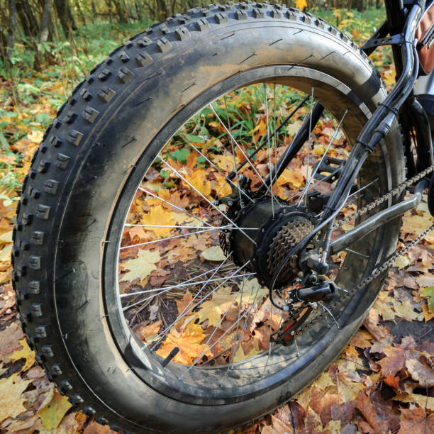 Bike with electric motor and thick wheels. Autumn forest.