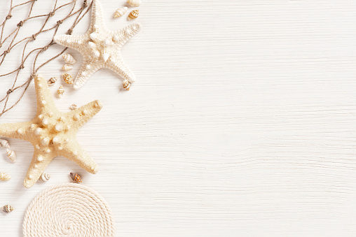 White textured wooden surface decorated with sea shells, copy space