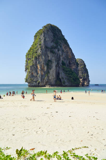 isola paradisiaca in thailandia costa delle andamane, provincia di krabi, thailandia, sud-est asiatico, asia - phuket province thailand tourist asia foto e immagini stock