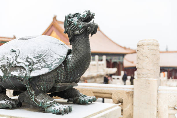 Beijing Forbidden City Bronze Dragon turtle Statue