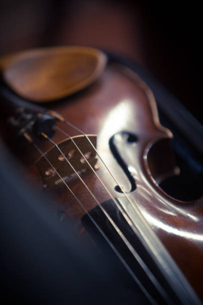 istock Vintage violin detail 1131760804