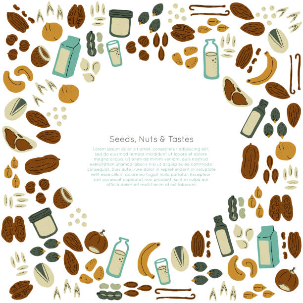 ナッツ・シードベクター - nut walnut almond brazil nut点のイラスト素材／クリップアート素材／マンガ素材／アイコン素材