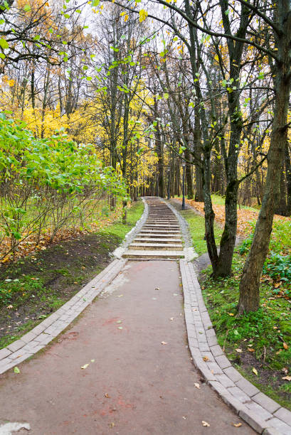 istock Stairs covered with colorful fall leaves. 1131765352