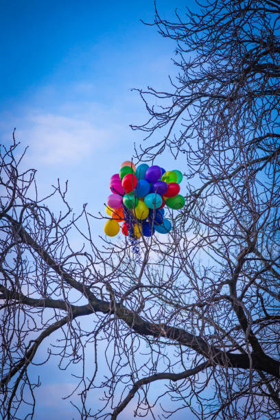 A bunch of bright colored balloons stuck on a tree in Prague