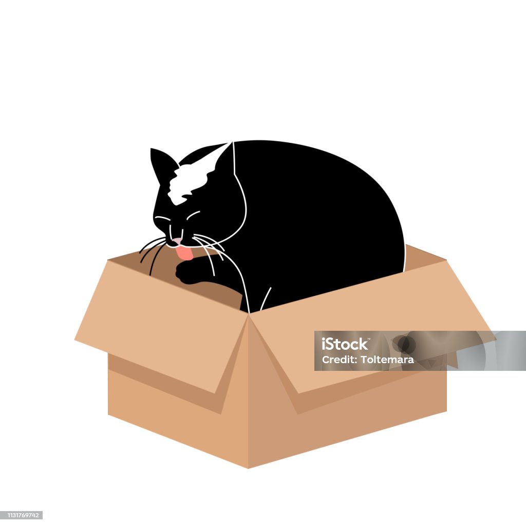 Cute Big Cat Licking a Paw in a Small Cardboard Box. Simple illustration for cards or prints, vector icon for web design Cute Big Cat Licking a Paw in a Small Cardboard Box. Simple illustration for cards, prints, vector icon for web design Domestic Cat stock vector