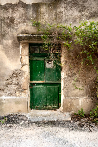 istock green wooden door 1131774079
