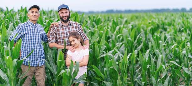 istock Three genarations from farmer family in the cornfield 1131774510