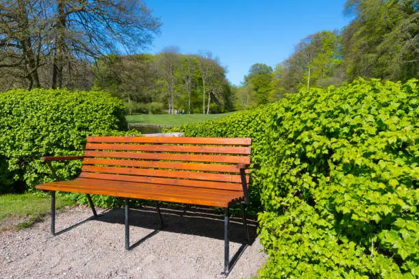 Bench in Liselund park on island of Moen in Denmark