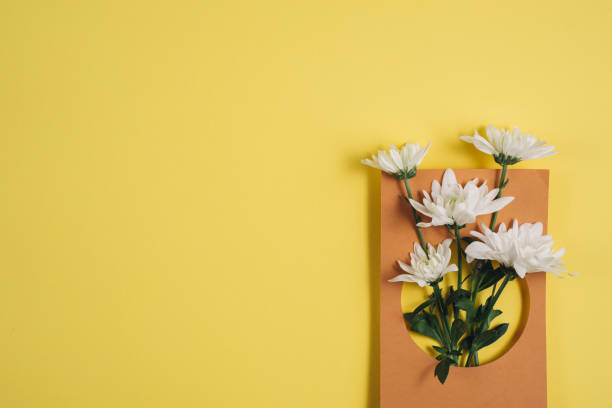 istock Creative layout made of white flowers on yellow background. Flat lay, top view, copy space. Nature minimal concept 1131776117