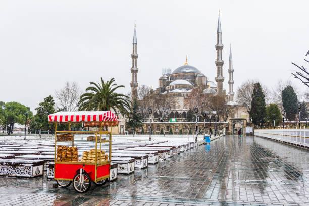 istock Snowy day in ISTANBUL. 1131778460