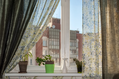 Home interior with window, flowers and curtains.