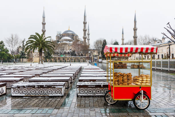 istock Snowy day in ISTANBUL. 1131780316