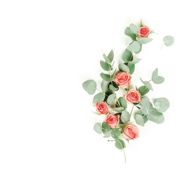 istock Flowers composition background. pink  roses and eucalyptus branches on white background.  Copy space 1131783288
