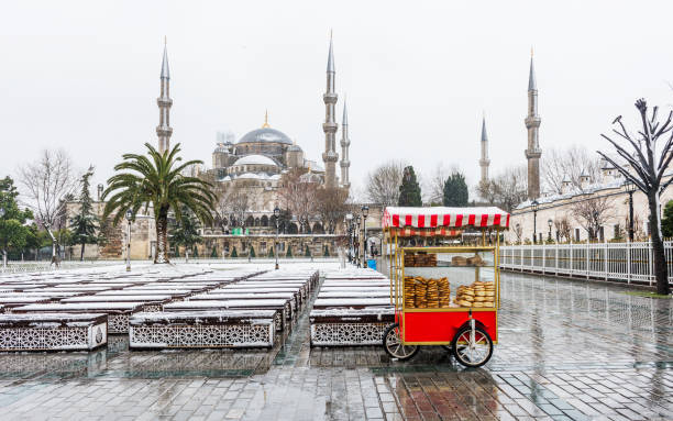 istock Snowy day in ISTANBUL. 1131784419