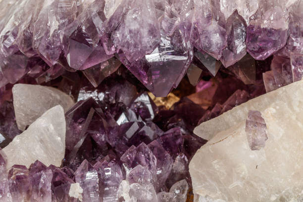 istock Amethyst Crystal Druse  macro mineral on white background 1131785583