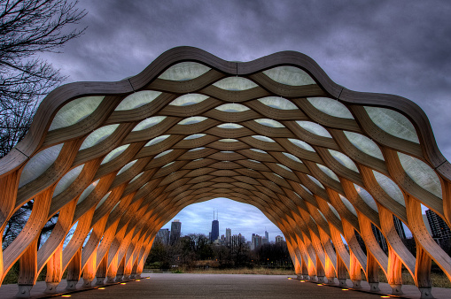 Chicago honeycomb at Lincoln Park nature walk