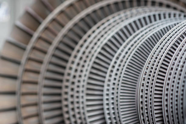 Rotor of a steam turbine