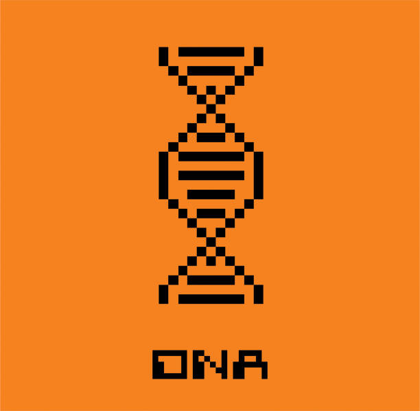 dna 픽셀 스타일 - thymine stock illustrations