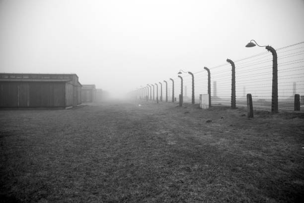860+ Auschwitz Prisoners Stock Photos, Pictures & Royalty-Free Images ...