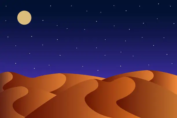 Vector illustration of Night desert view. Vector illustration