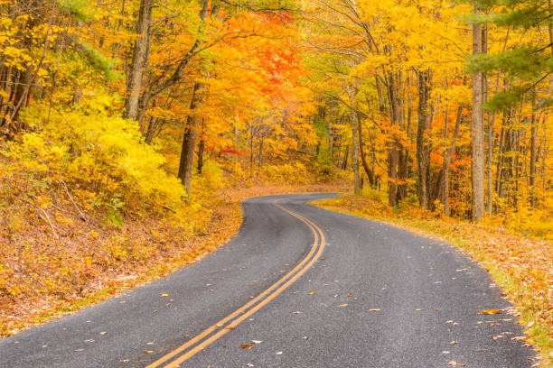 istock Autum along the Blue Ridge Parkway 1131791913