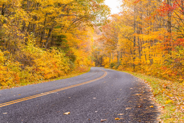 istock Autum along the Blue Ridge Parkway 1131791954