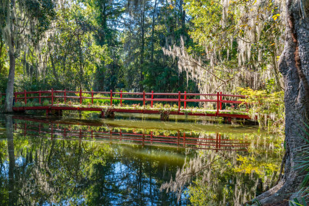 istock Bridge over Cypress Swamp 1131791995