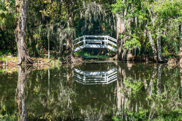istock Bridge over Cypress Swamp 1131792048