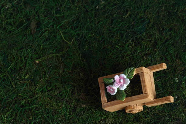 istock wheelbarrow on green grass background 1131794418